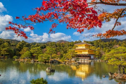 Kyoto & Nara Private Tour with English Speaking Guide