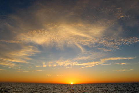 圣何塞卡波观鲸日出之旅