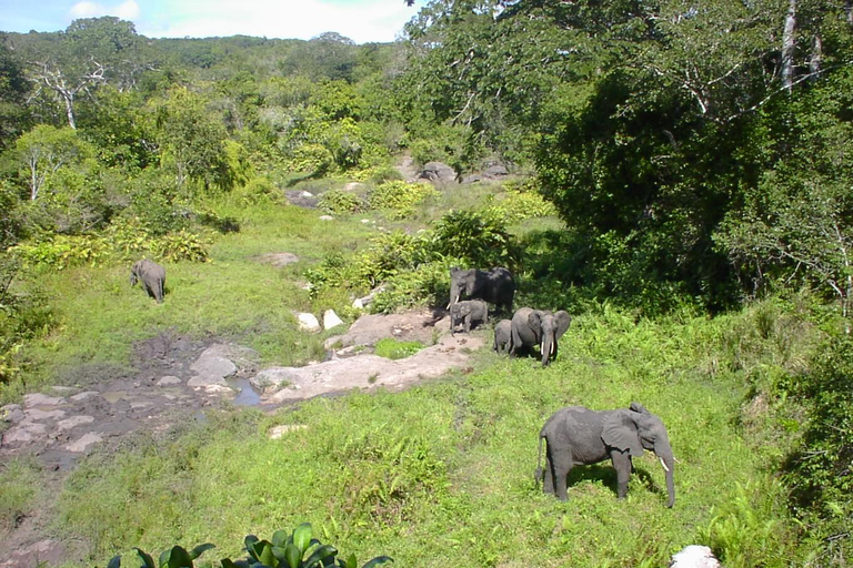 Viajar a Kenia