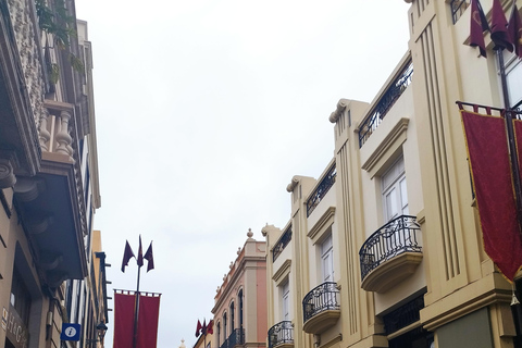 Tour guidato a piedi a La Orotava, Tenerife