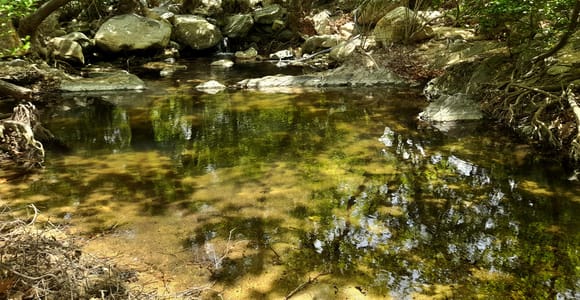 Naxos: A Riverbank Adventure (Kinidaros - Eggares villages)