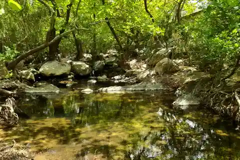 Naxos: A Riverbank Adventure (Kinidaros - Eggares villages)