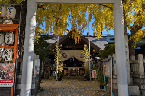 Tokyo: Private Spanish Walking Tour of Tsukiji Market and Ginza