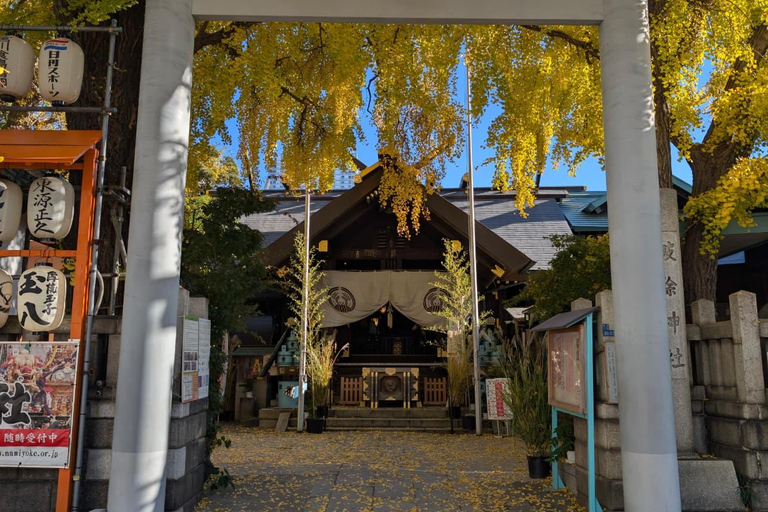 Tokyo: Private Spanish Walking Tour of Tsukiji Market and Ginza