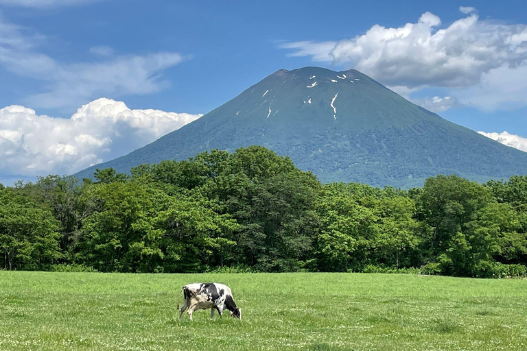 From Sapporo: Noboribetsu, Lake Toya, and Niseko Day Trip Shared Tour, Meet at Sapporo Station