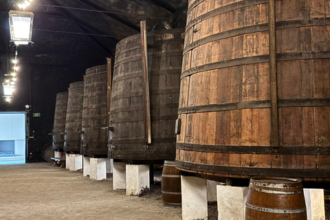 Porto: Douro Valley Train Tour, Cruise, Wine & Lunch