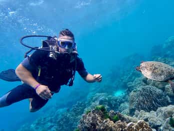 Phuket: Scuba Diving Maithon OR Racha Island For All Levels