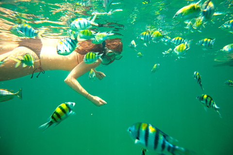 Miami: dagtrip naar Key West met snorkelen & ophaaloptieMet vervoer heen en terug vanaf geselecteerde ontmoetingspunten