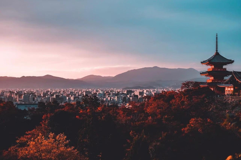 Kyoto Full-Day Customizable Group Tour with Guide