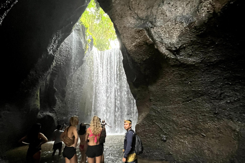 Discover Awesome Hidden Gems waterfalls Tour in Ubud Private Group with English Speaking Guide Tour