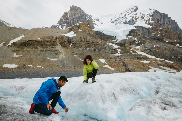 Columbia Icefield Adventure: Peyto lake, Bow lake & Glaciers