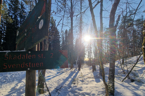 Panoramagipfel – Oslos beste Wanderung mit Blick auf die FjordePanoramische Gipfel – Oslos beste Wanderung mit Fjordblick