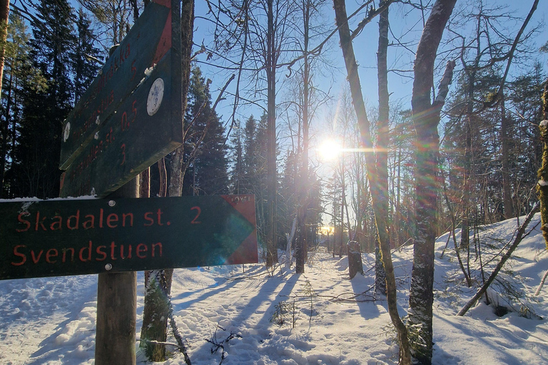 Panoramagipfel – Oslos beste Wanderung mit Blick auf die FjordePanoramische Gipfel – Oslos beste Wanderung mit Fjordblick