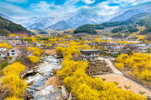 Séoul/Busan : visite d&#039;une journée au festival des pruniers en fleurs de GwangyangDépart de Busan depuis la station de métro de Busan