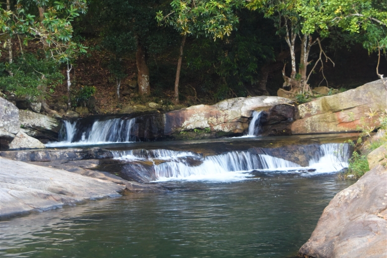 From Ella: Diyaluma Waterfall & Natural Pool Bath With Lunch From Ella: Diyaluma falls, Full Day tour with Lunch