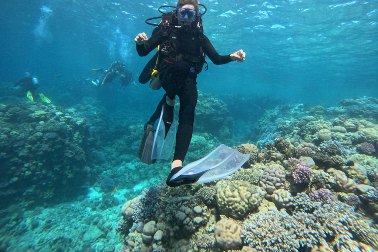 Intro Diving Débutant et découverte de la mer rouge sous l&#039;eau