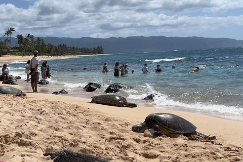 Oahu: Wycieczka prywatna Waikiki - Pełny krąg wysp - Możliwość dostosowania
