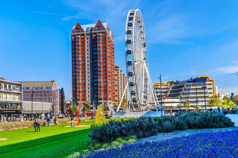 Private Day Trip: Rotterdam Architecture & Gouda Cheese Farm