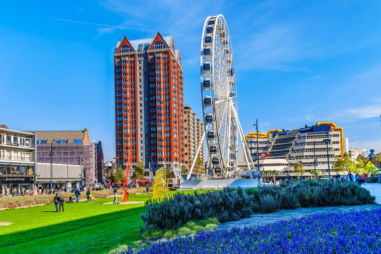 Rotterdam &amp; Haarlem: Private Full-Day Tour from Amsterdam