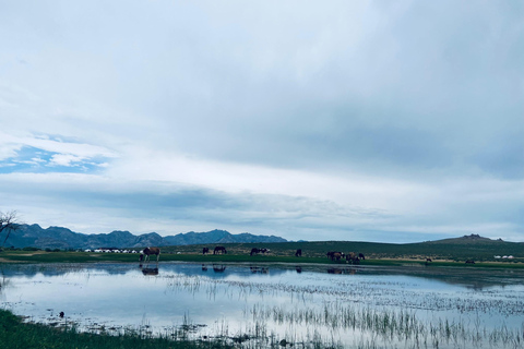 3-Day Central Mongolia Waterfall, Ancient Capital, Semi Gobi