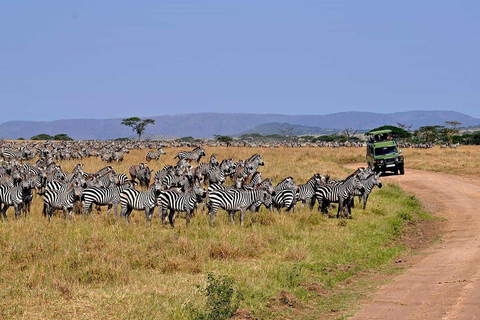 Tansania: 6-tägige Safari-Abenteuerreise mit Wildtieren und KulturTansania: 6 Tage Safari-Abenteuer mit Wildtieren und Kultur