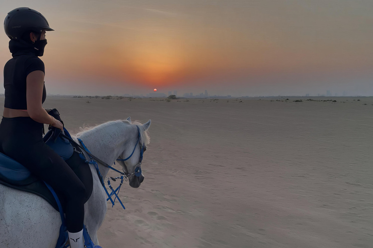 Dubai: Desert Horse Riding Experience at JSR Equestrian Club Shared Group Horse Riding - 1 Hr