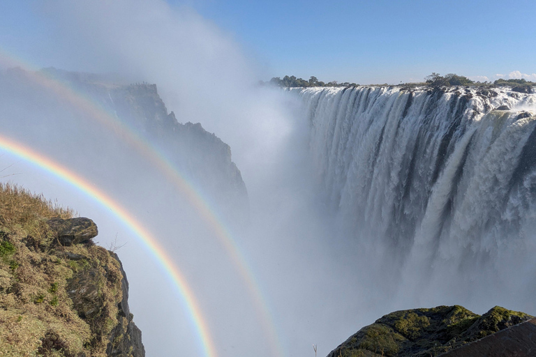 Victoria Falls: Historic Town Tour, Big Tree & Guided Walk