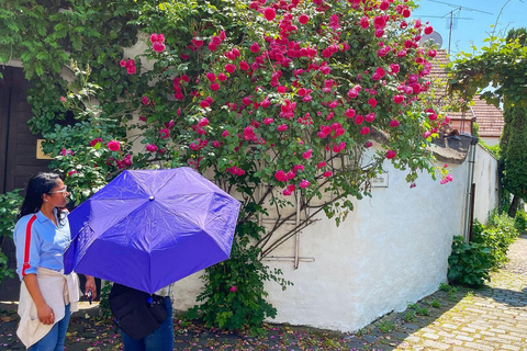 Excursion d'une journée à Szentendre (patrimoine mondial de l'Unesco)