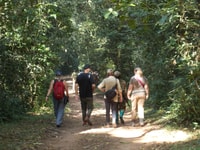 3 giorni Bwindi Gorilla trekking - Hizvo