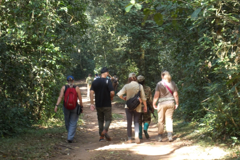 Excursión de 3 días a los gorilas de Bwindi