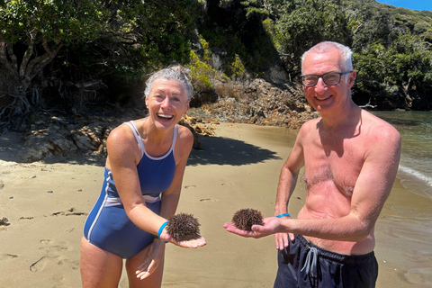 Bay of Islands: Island Discovery Kayak Tour - Afternoon