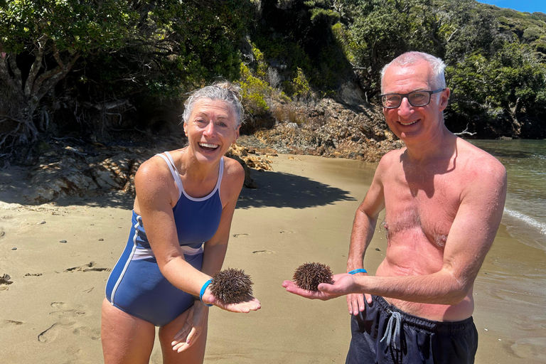Bay of Islands: Island Discovery Kayak Tour - Afternoon
