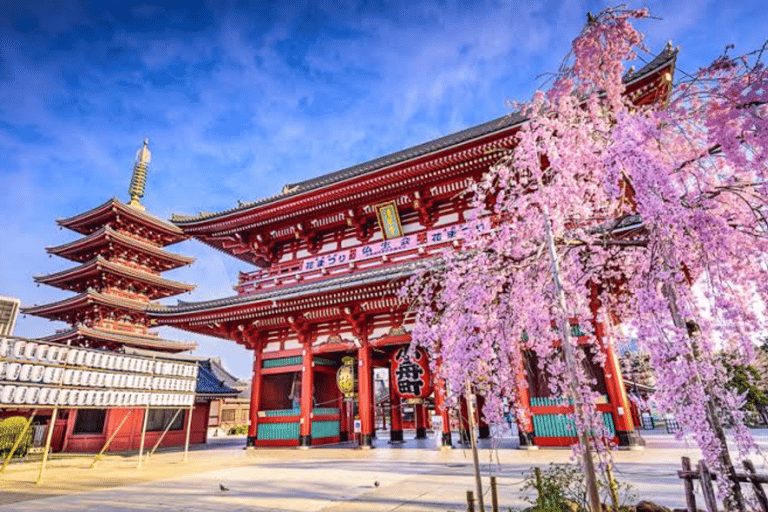 From Tokyo: Tokyo Full Day Private Sightseeing City Tour Tokyo Full Day Private Customize Tour