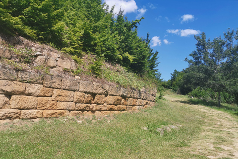 Plovdiv: Starosel Wine Tasting & Thracian Tomb Day Tour