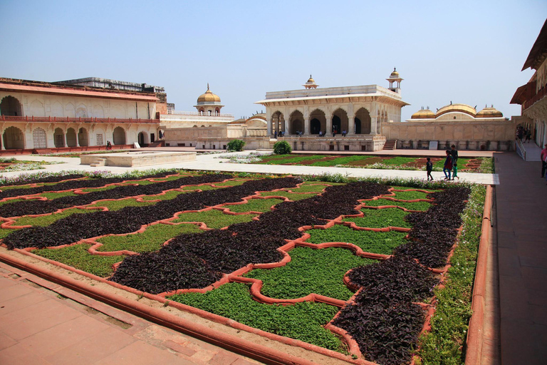 Från Agra: Halvdags soluppgångstur till Taj Mahal med Agra FortHalvdags soluppgångstur till Taj Mahal med Agra Fort från Agra