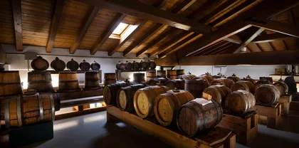 Modena - Bologna: Tour durch Bio-Weingut und Essigfabrik Modena - Bologna: Tour durch Bio-Weingut und Essigfabrik