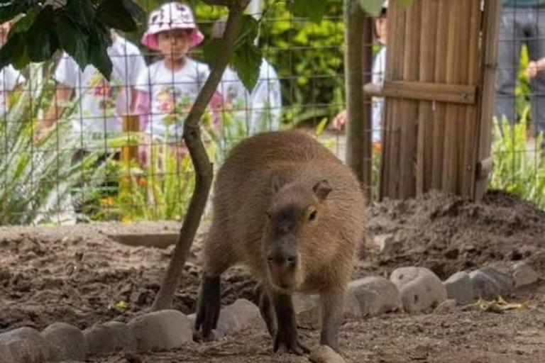 Quito: Zoo Tour with Transportation and Admission or Ticket