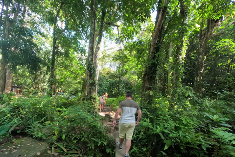 Khao Lak: waterval, zeeschildpad, olifanten verzorgen, maaltijd en transferKhao Lak: waterval, zeeschildpad, raften en olifanten verzorgen en maaltijd
