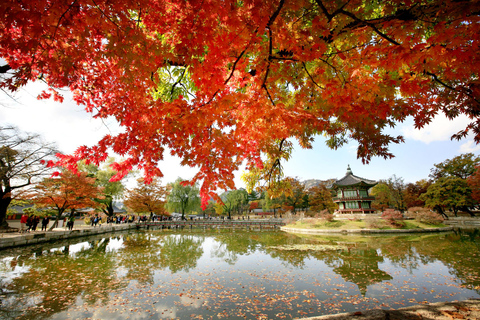 Séoul : Visite à pied du Hanbok, de Gyeongbokgung et du marché de Tongin