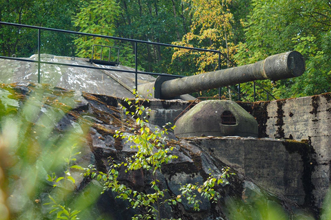 Le isole della fortezza di Helsinki: Tour guidato sul mare