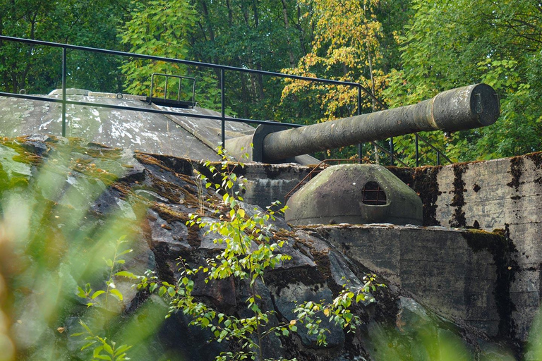 Helsinki&#039;s Fortress Islands: Guided Sea Tour