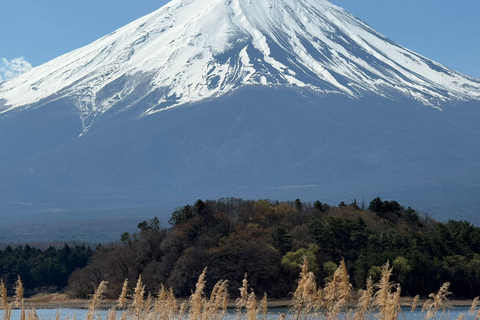 From Tokyo: Mount Fuji and Hakone Private Customizable Trip From Tokyo: Mount Fuji and Hakone Full Customizable Trip