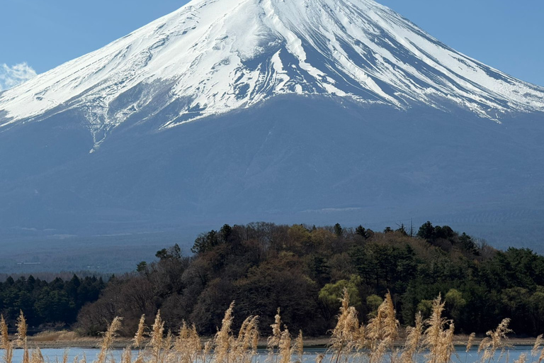 From Tokyo: Mount Fuji and Hakone Private Customizable Trip From Tokyo: Mount Fuji and Hakone Full Customizable Trip