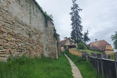 Transylvanie : visite guidée de 2 jours