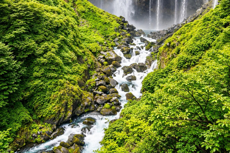 Nikko: Cedar & Falls Private Tour with Pickup & Drop-off EN/CN Guide – Tokyo Pickup & Drop-off