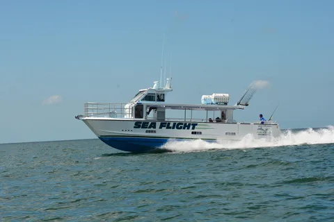 4 Hour Deep Sea Fishing