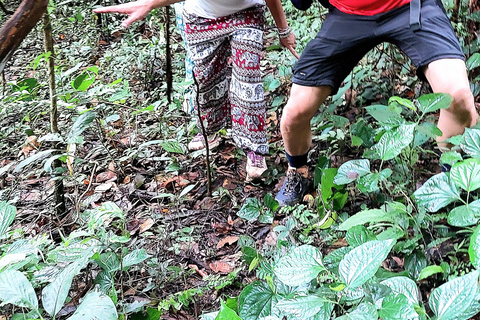 Chiang Mai: esperienza di trekking con pernottamento in evidenza