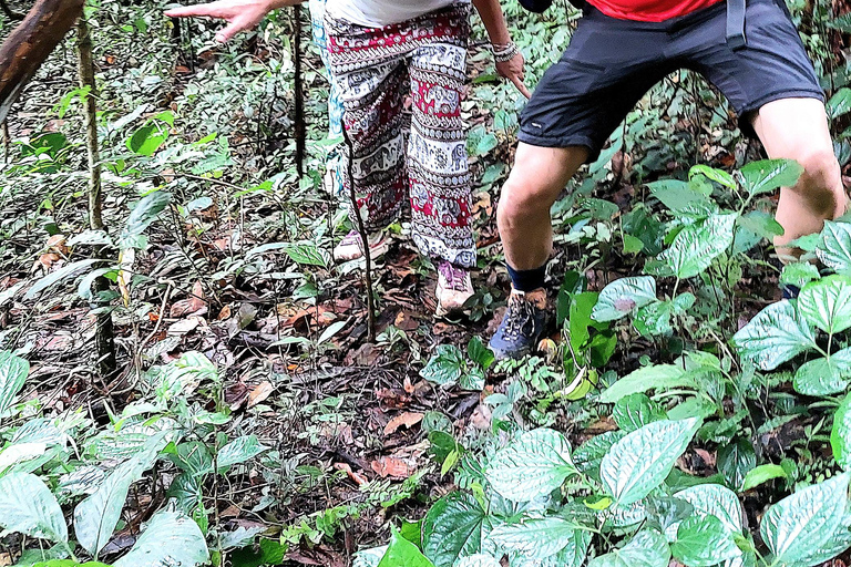 Chiang Mai: esperienza di trekking con pernottamento in evidenza