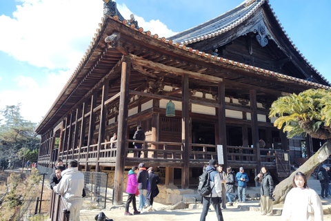 Hiroshima: 5.5-Hour Highlights Tour with Professional guide