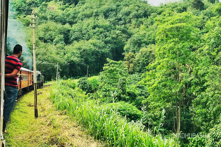 De Colombo: Escapadela de 3 dias à região montanhosa com um passeio de comboio